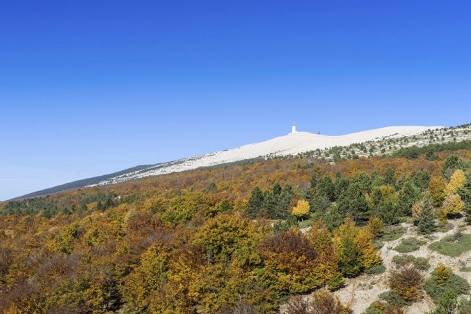 View of Mont Ventoux from the Domaine du Val de Sault hotel