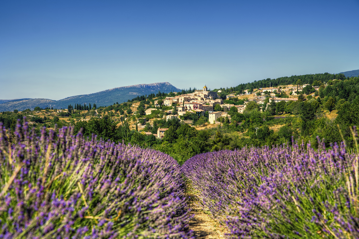Vue sur un village de Provence avec un champ de lavande - hôtel 4 étoiles luberon
